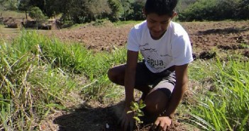 ÍNDIOS GUARANIS LUTAM PARA PRESERVAR A VIDA