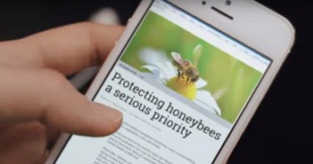 GENERAL MILLS EM CAMPANHA PARA SALVAR AS ABELHAS