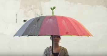 UM GUARDA-CHUVA CONTRA A DENGUE