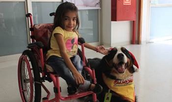 CÃO MAGNUS FAZ A ALEGRIA DAS CRIANÇAS DA AACD