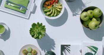 PANTONE APONTA GREENERY COMO A COR DE 2017